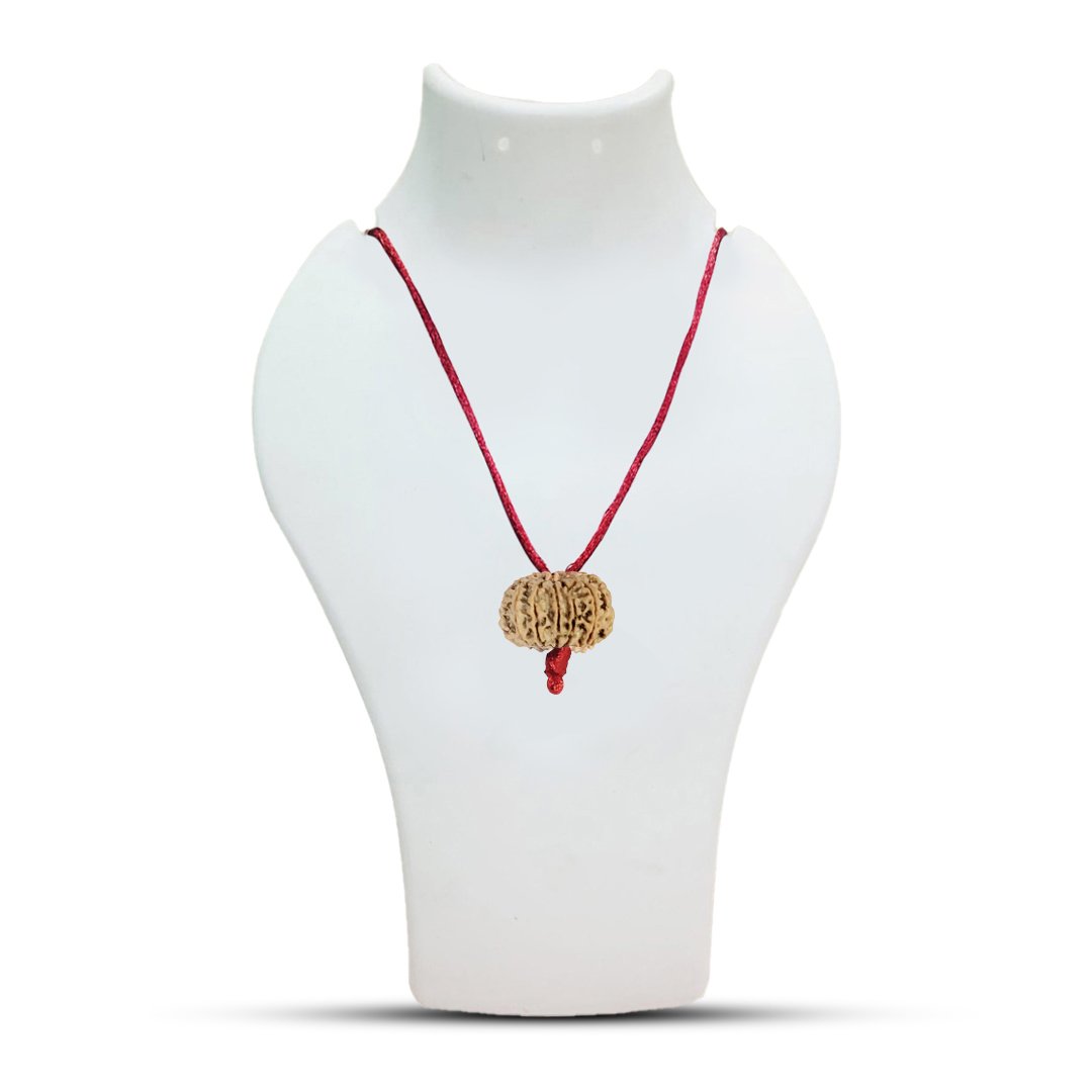 Bhoomi Siddhi Rudraksha (For Land Deals, House Purchase & Property Success)