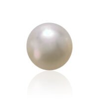 South Sea Pearl
