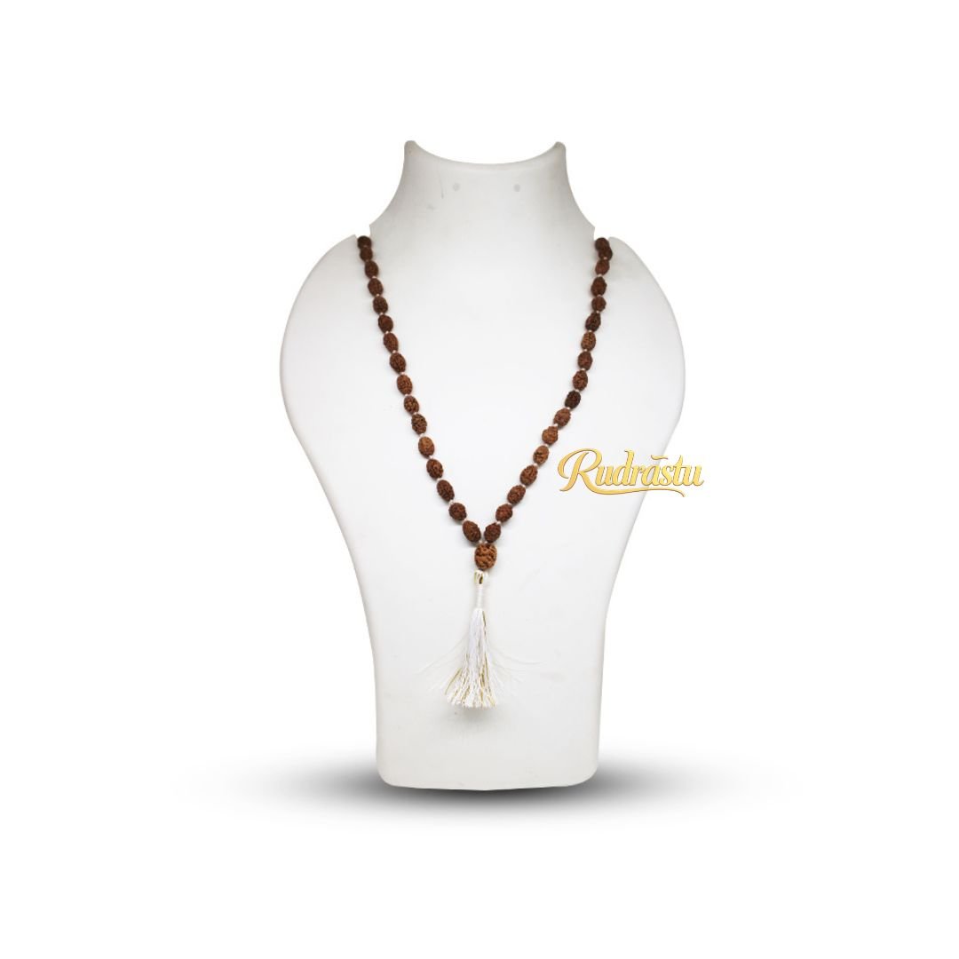 3 mukhi Rudraksha Mala (Indonesia) - Image 3