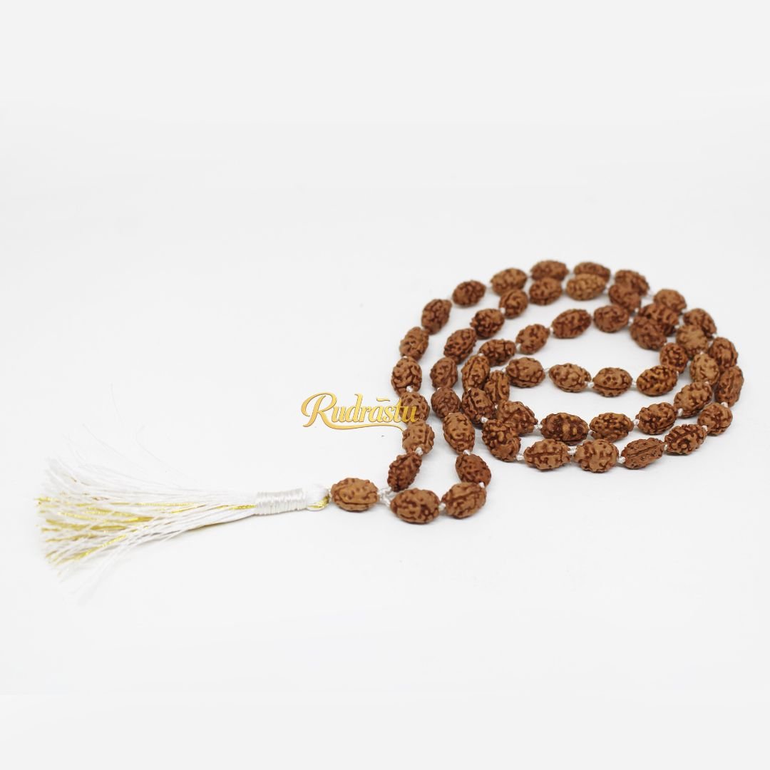 2 mukhi Rudraksha Mala (Indonesia)