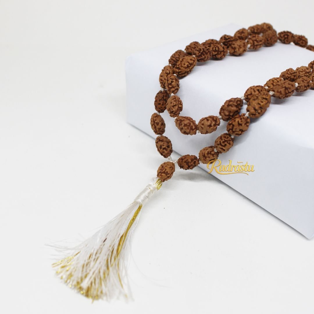 2 mukhi Rudraksha Mala (Indonesia) - Image 2