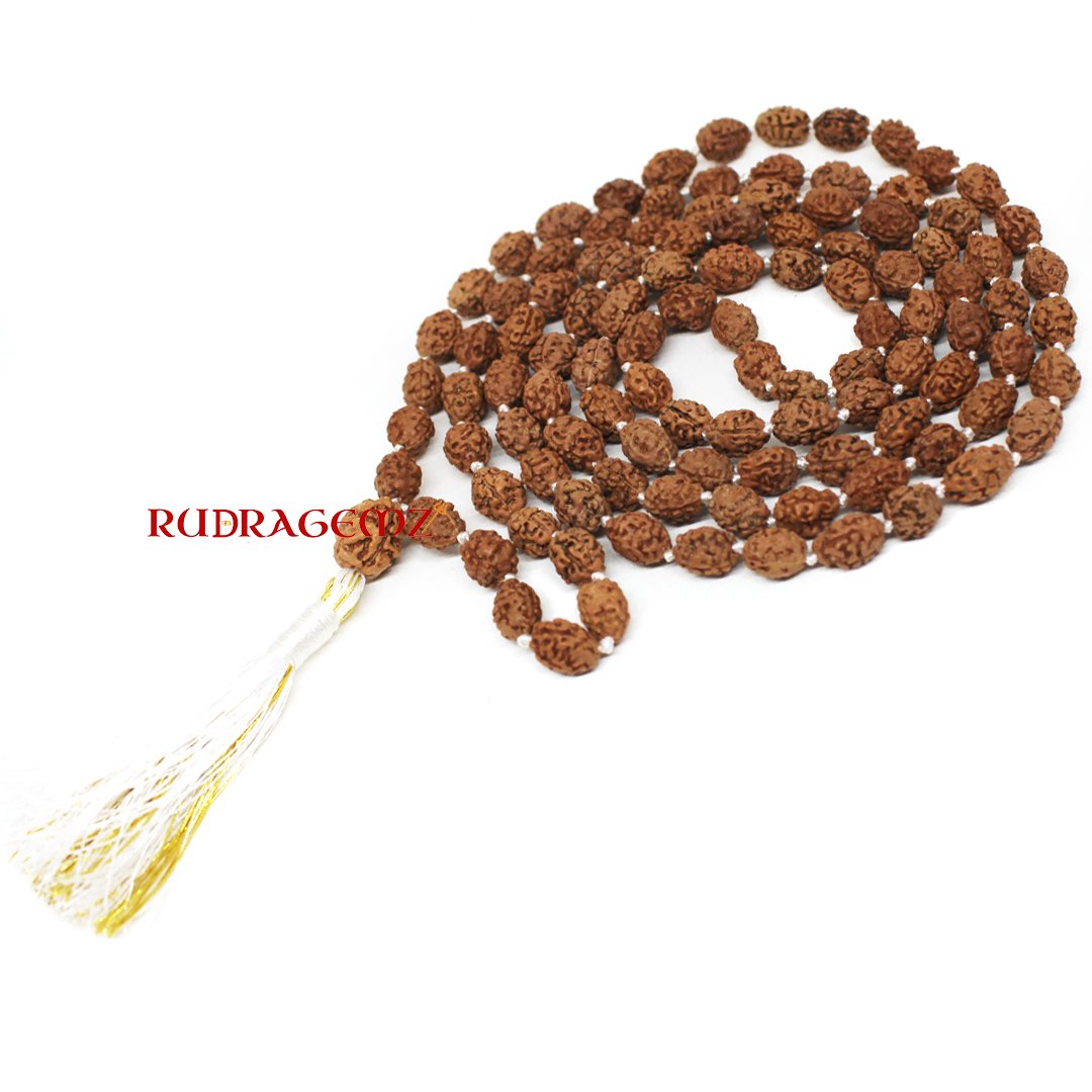 "3 Mukhi Rudraksha Mala from Indonesia – A powerful spiritual tool symbolizing purity, strength, and self-transformation."