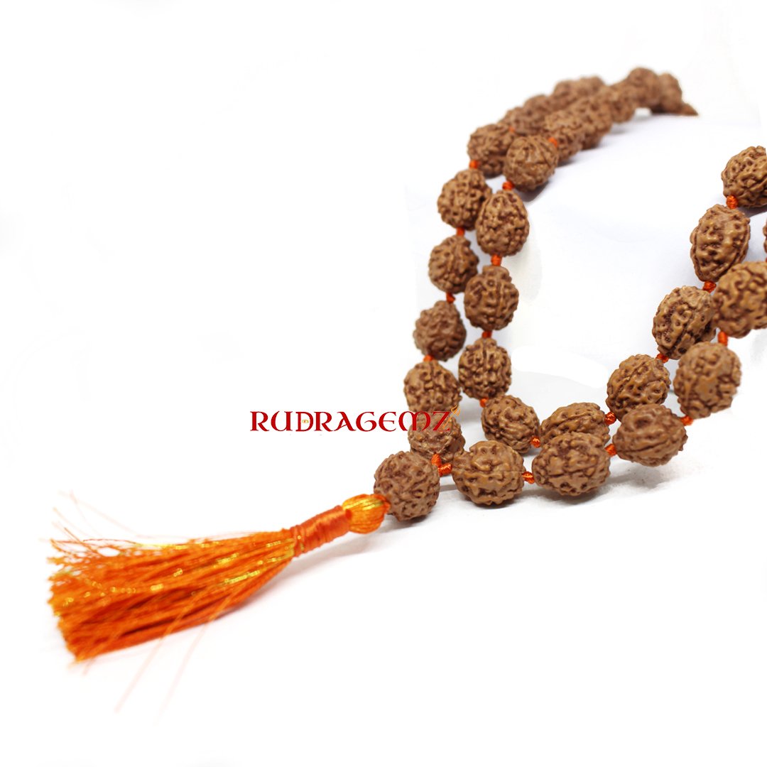 "4 Mukhi Rudraksha Mala from Indonesia – A sacred mala symbolizing wisdom, learning, and creative expression."
