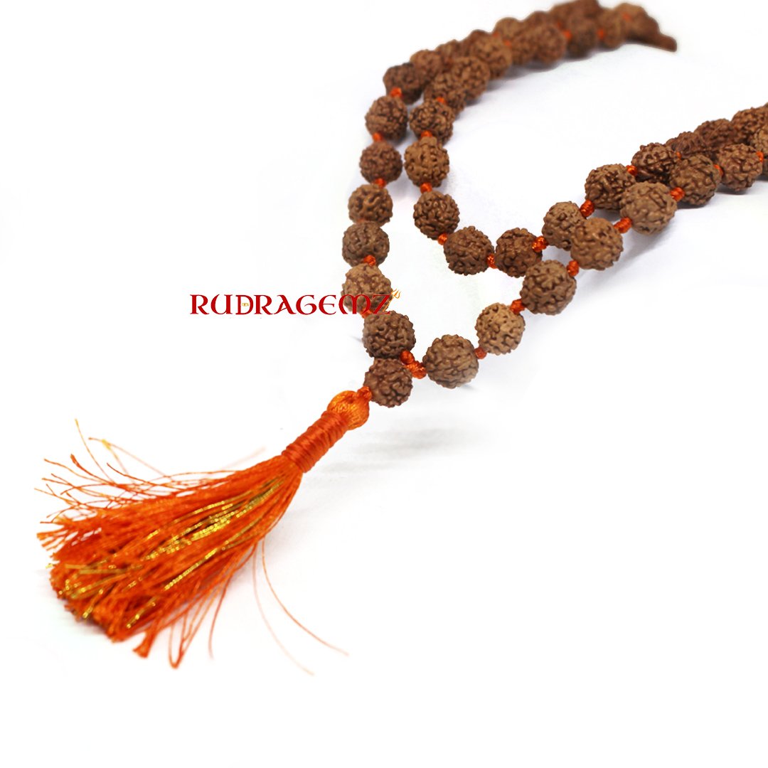 "5 Mukhi Rudraksha Mala from Indonesia – A sacred mala symbolizing wisdom, peace, and spiritual protection."