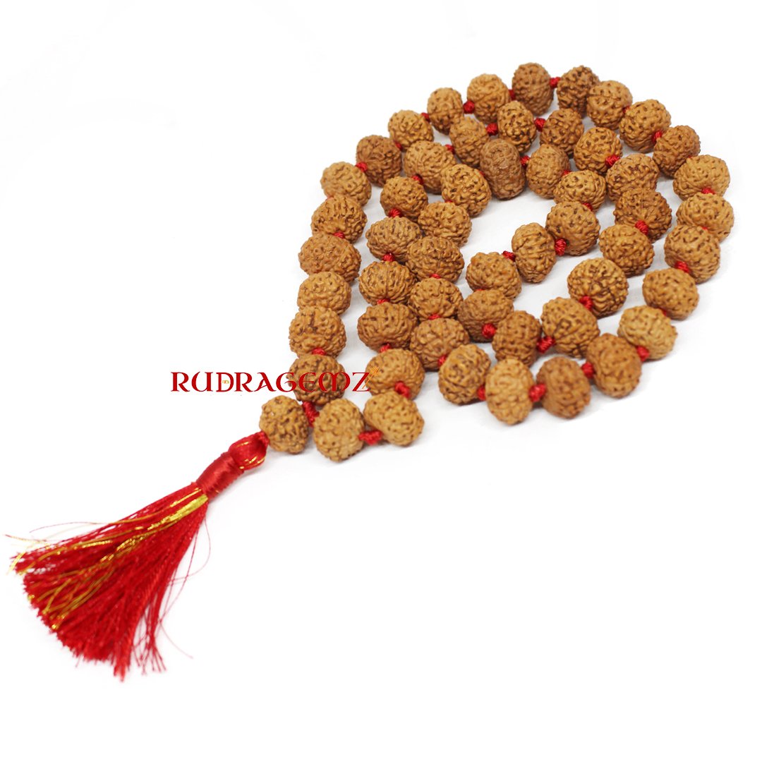 "10 Mukhi Rudraksha Mala from Indonesia – A sacred mala for divine protection, spiritual growth, and success."