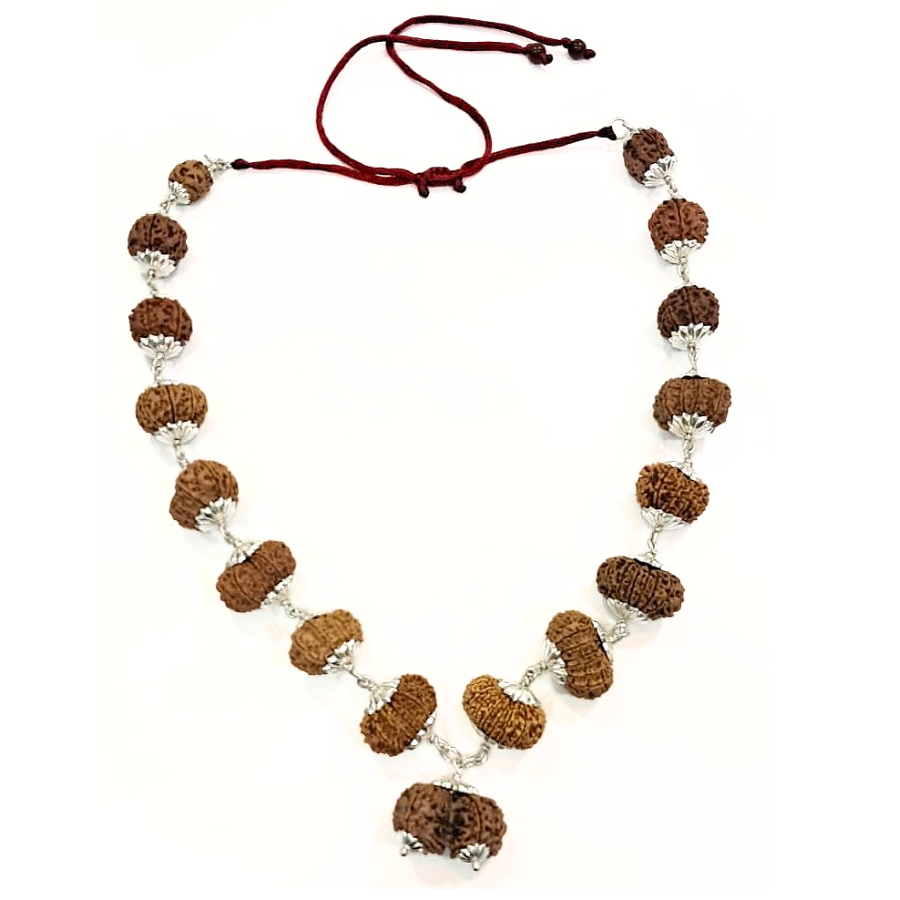 Siddha Health Balance Rudraksha Mala (For Overall Health & Well-Being Support)