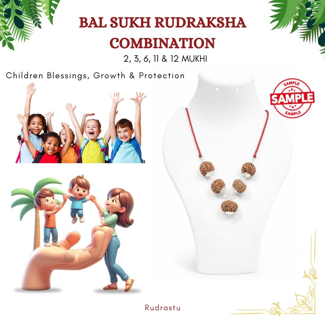 Bal Sukh Rudraksha Combination (For Children Blessings, Growth & Protection)