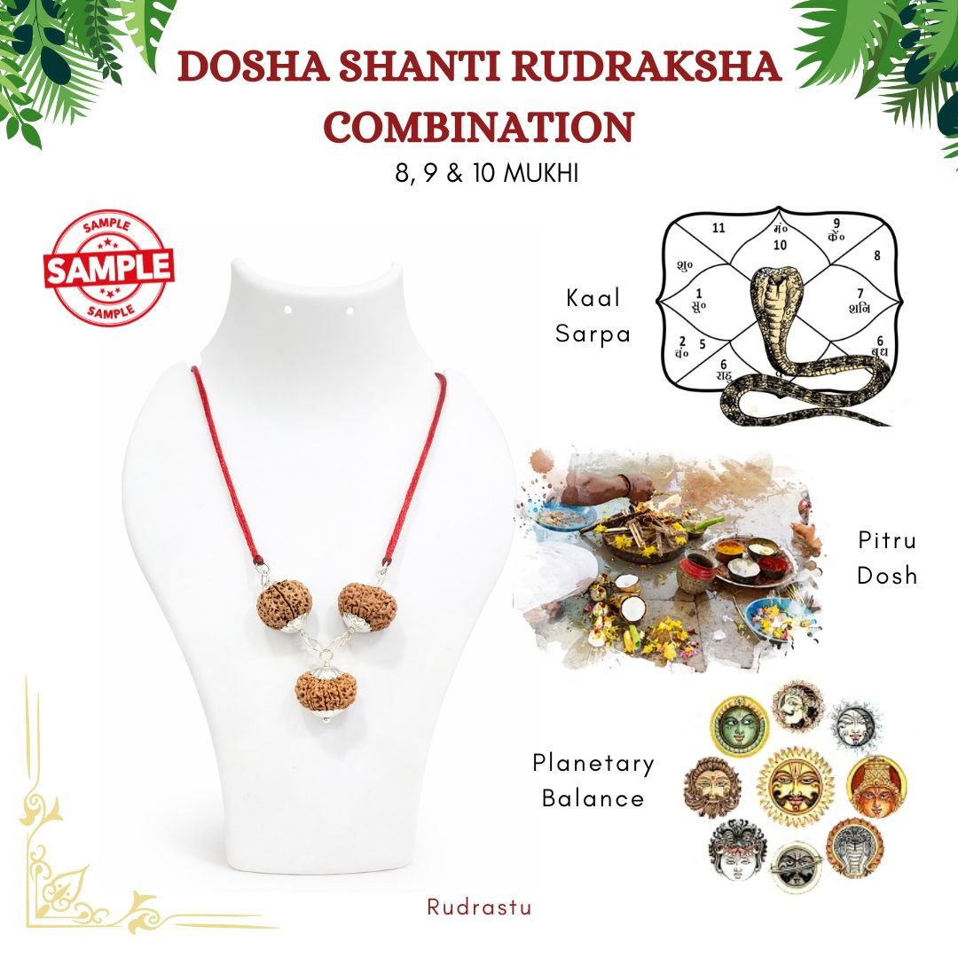 Dosha Shanti Rudraksha Combination (For Kaal Sarpa, Pitru Dosh & Planetary Balance)