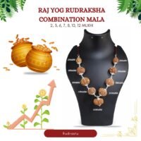 Rudraksha Combination