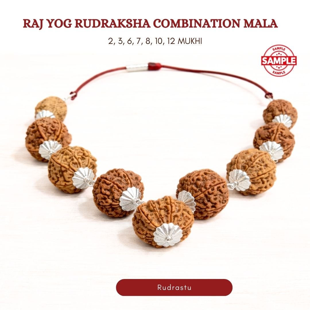 Raj Yog Rudraksha Combination Mala (For Money, Power & Stability in Life) - Image 3