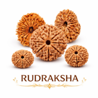 Rudraksha